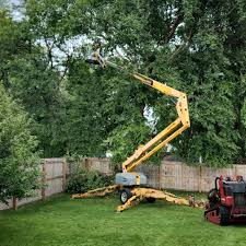 Best Lot and Land Clearing  in Banks, OR